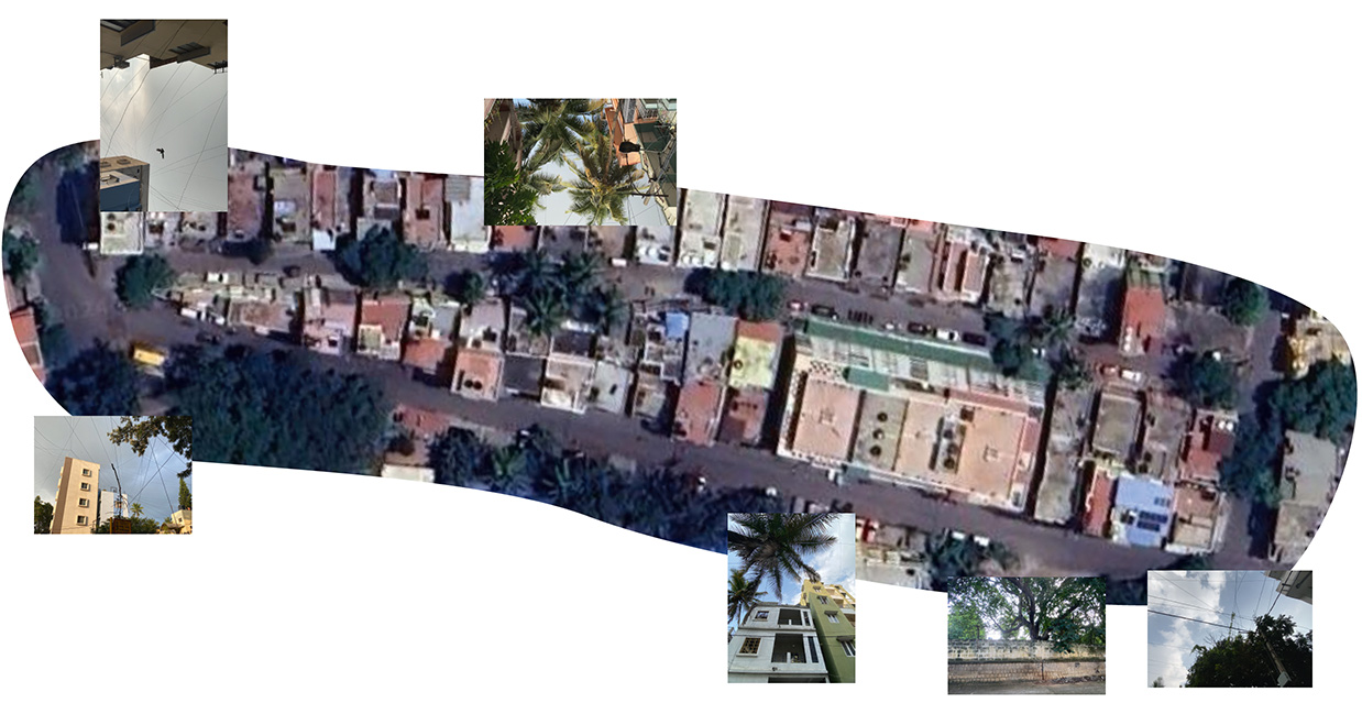 A collage of a Google Maps screenshot with photos of cables layered atop.